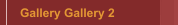 Gallery Gallery 2