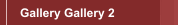 Gallery Gallery III